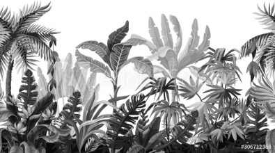 Afbeeldingen van Seamless border with jungle trees in monochrome style